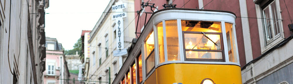 Bukiet Kwiatów.com.pl